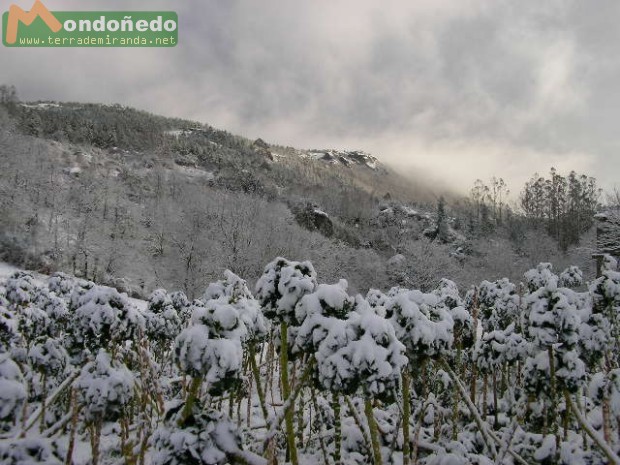 Nieve en Tronceda
Foto enviada por MCC.

