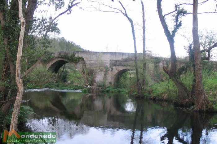 Puente de Viloalle
Imágenes de los ríos de Mondoñedo.
