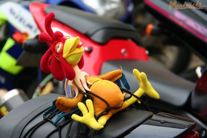 Concentración de motos
Mascota
