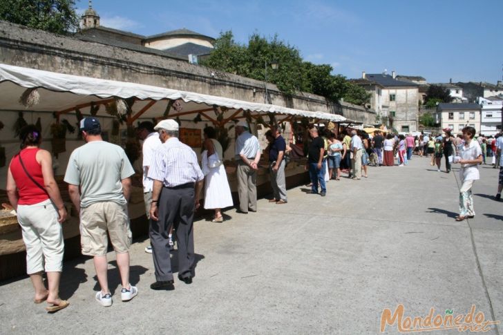 Mercado Medieval 2007
El mercado en la plaza del Seminario
