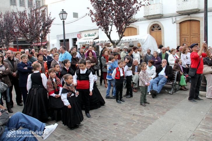 Festival Folclórico
Público
