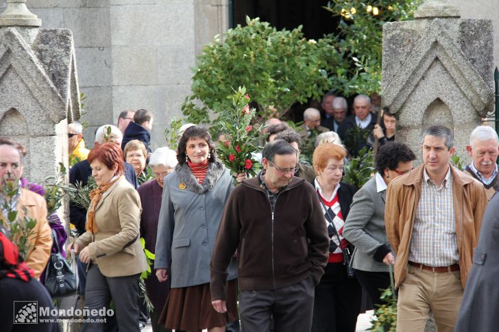 Domingo de Ramos
Procesión de Ramos
