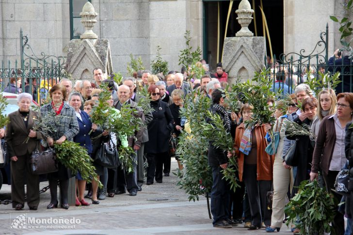 Domingo de Ramos
Procesión de Ramos
