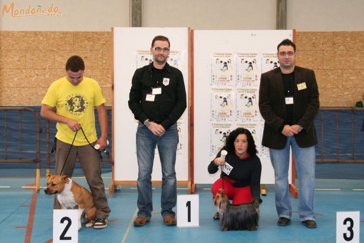 Concurso Canino
Entrega de premios
