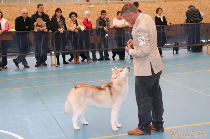 Concurso Canino
Participando en la final
