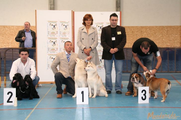 Concurso Canino
Entrega de premios
