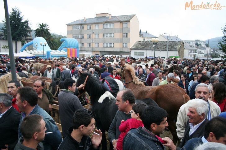 As San Lucas
Feria multitudinaria
