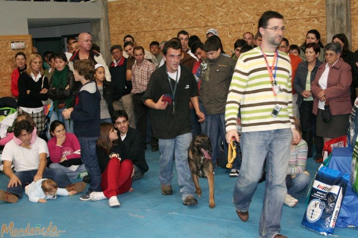 Concurso canino
Exhibición canina
