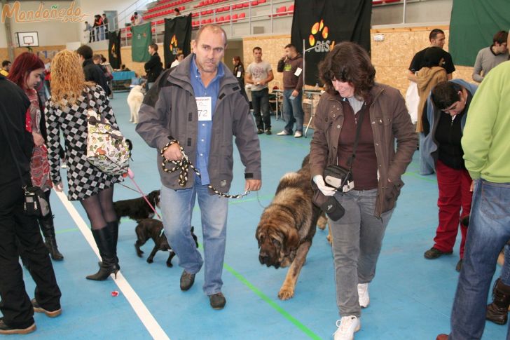 Concurso canino
Participantes en el concurso
