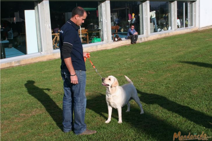 Concurso canino
En el exterior del pabellón
