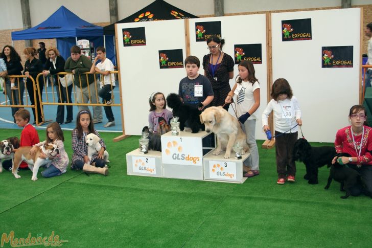 Concurso canino
Presentador infantil:
1º CANICHE TOY - 2º YORKSHIRE TERRIER - 3º GOLDEN RETRIEVER

