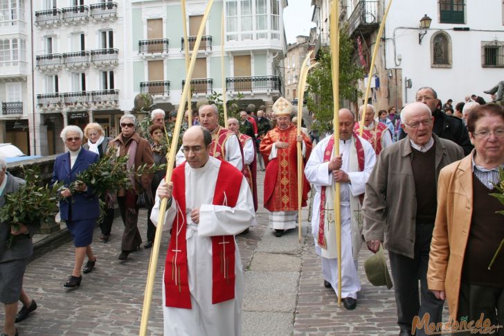 Semana Santa 2009
Procesión de Domingo de Ramos

