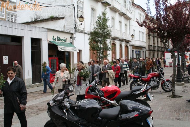 Domingo de Ramos
Procesión
