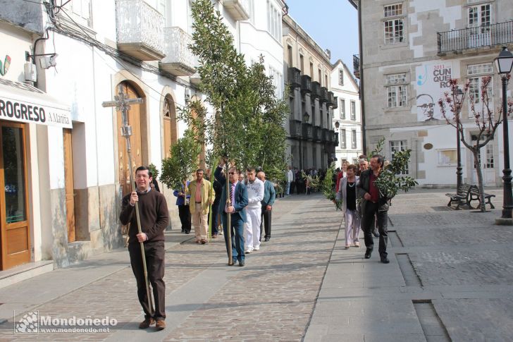 Domingo de Ramos
Procesión de Ramos
