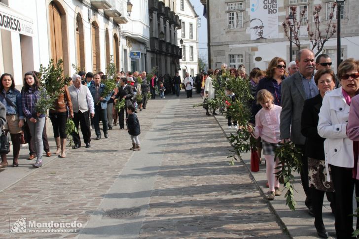 Domingo de Ramos
Procesión de Ramos
