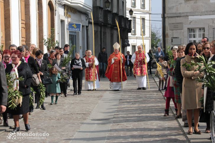 Domingo de Ramos
Procesión de Ramos
