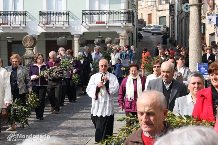 Domingo de Ramos
Procesión de Ramos
