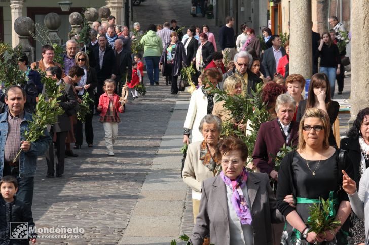 Domingo de Ramos
Procesión de Ramos
