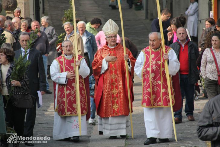 Domingo de Ramos
Procesión de Ramos
