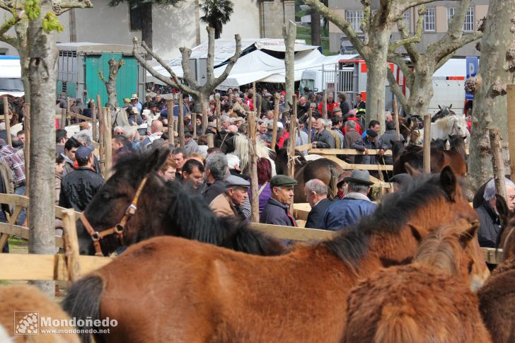 As Quendas 2012
Feria de ganado
