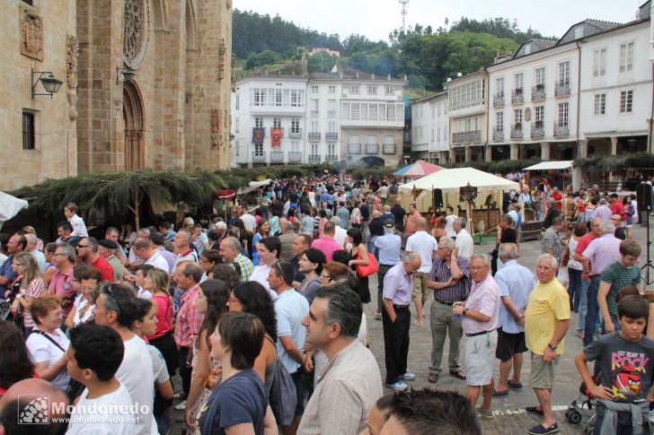 Mercado Medieval 2013
