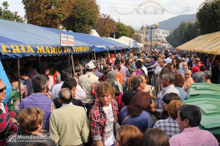 As San Lucas 2011 (16-Oct)
Feria multitudinaria
